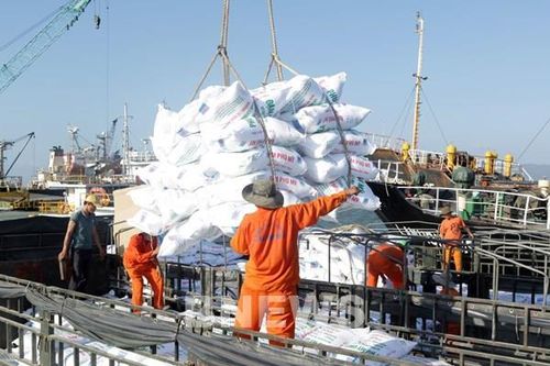 Giá phân bón trong nước bám sát đà tăng trên thế giới