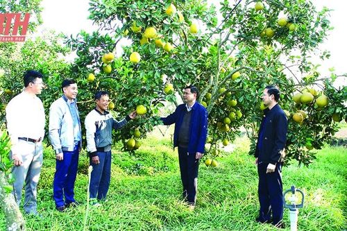 Hà Trung khí thế mới, động lực mới