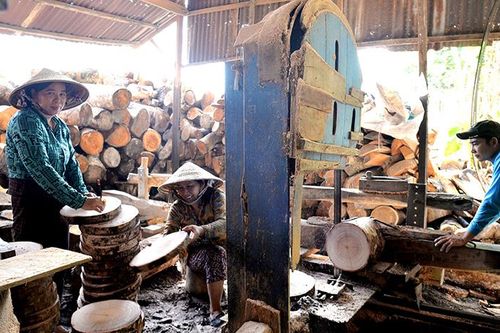 Tiếp lửa cho làng nghề làm thớt gỗ Định An