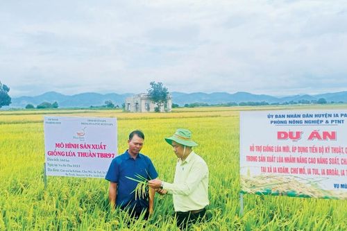 Ia Pa khai thác tiềm năng để giảm nghèo bền vững