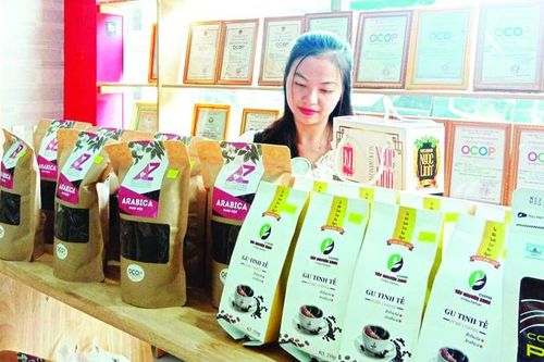 Sản phẩm OCOP: Kết tinh các giá trị bản địa với khoa học, công nghệ và sáng tạo