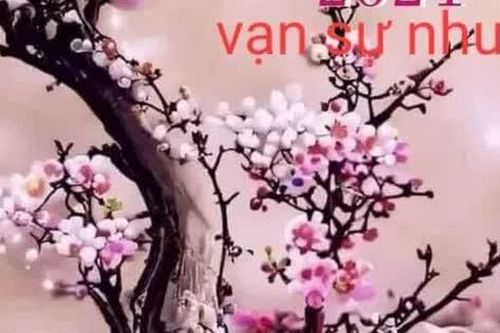 Ngày Xuân nói chuyện Tết xưa - Tết nay ở nông thôn