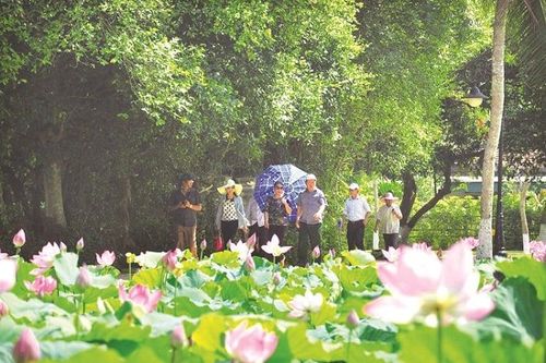 Nam Đàn đẩy mạnh phát triển du lịch gắn với xây dựng nông thôn mới nâng cao, nông thôn mới kiểu mẫu