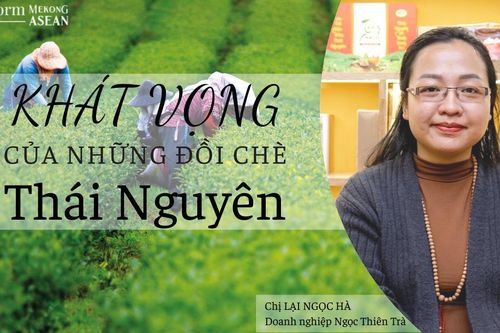 Khát vọng của những đồi chè Thái Nguyên