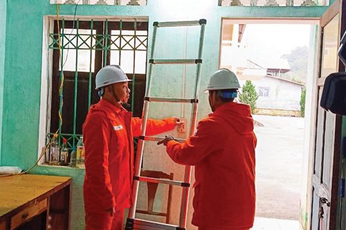 Lung linh ánh điện mùa xuân