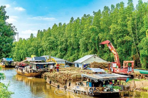 Ða canh bền vững