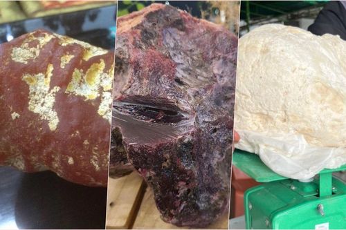 Những lần ngư dân Việt vô tình bắt được 'vàng nổi' trị giá tiền tỷ
