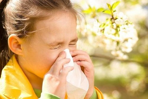3 bệnh dị ứng gây 'phiền toái' nhất mùa xuân