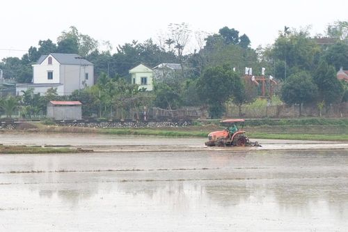 Hà Nội: Sau Tết, các trạm bơm vận hành hết công suất lấy nước vụ Xuân