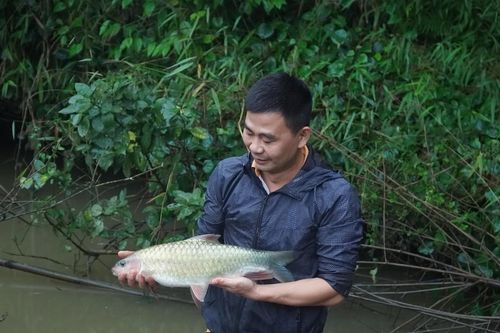 Về miền đá núi thưởng thức đặc sản
