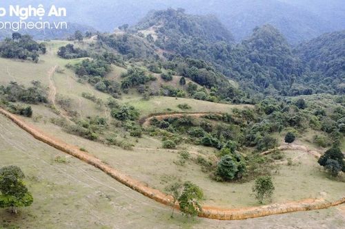 Lên núi cao xem những đường hào dài hàng nghìn mét ngăn trâu, bò để trồng rừng thay thế