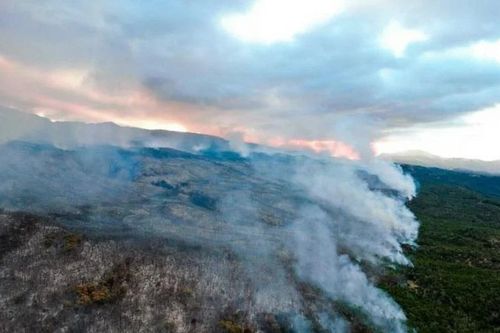 Argentina: Hỏa hoạn kéo dài 20 ngày tại Công viên Quốc gia Los Alerces