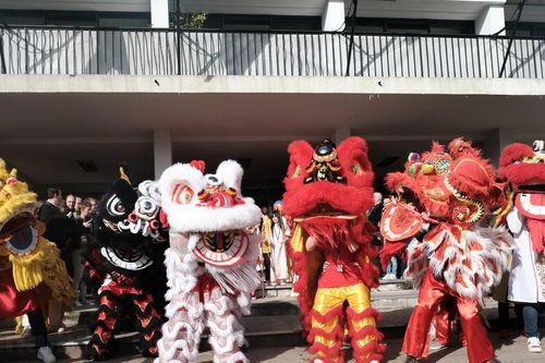 Hàng nghìn người dân Pháp tham dự sự kiện Tết cổ truyền của Việt Nam