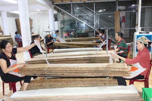 Cận cảnh quy trình sản xuất bánh đa nem – món ăn không thể thiếu trong mâm cỗ Tết