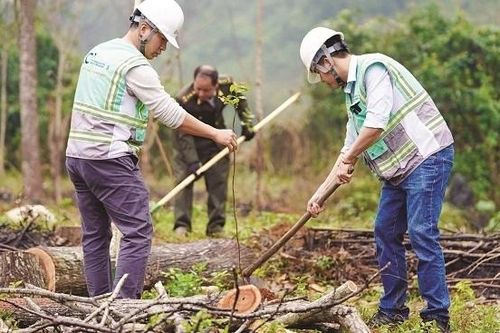 Chuyện 'con gà quả trứng' với doanh nghiệp niêm yết