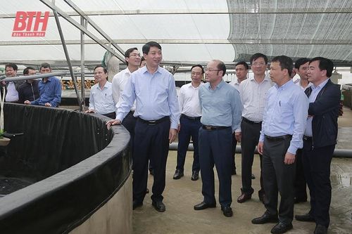Thúc đẩy sản xuất nông nghiệp sang kinh tế nông nghiệp
