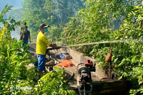 Kịp thời dập tắt đám cháy vườn tràm gần khu du lịch Bò Cạp Vàng
