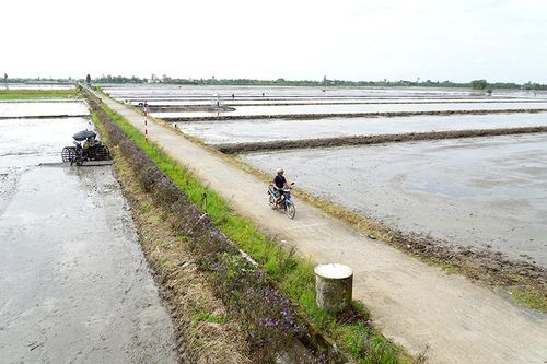 Xây dựng nông thôn mới là nhiệm vụ 'không có điểm dừng'