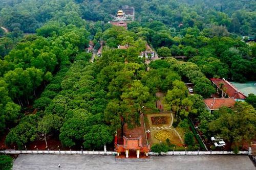 Lễ hội mùa xuân Côn Sơn – Kiếp Bạc 2024 có gì?
