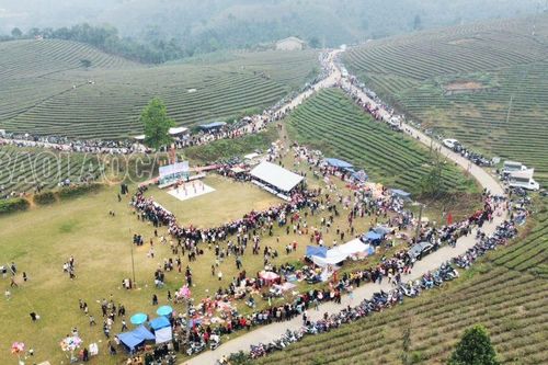 Tưng bừng Lễ hội Xuống đồng xã Phú Nhuận
