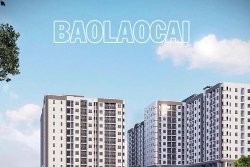 Đã xác định được nhà đầu tư 2 dự án nhà ở xã hội trên địa bàn thành phố Lào Cai