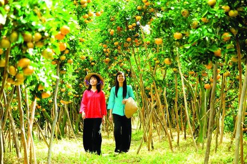 Du lịch nông nghiệp: Động lực phát triển nông thôn toàn diện
