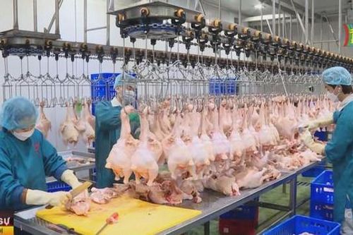 Không xảy ra thiếu hàng, tăng giá trong những ngày Tết