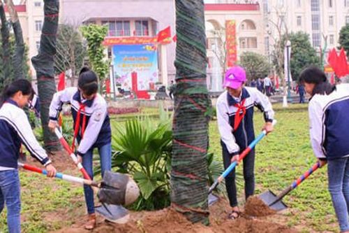 Mùa xuân là Tết trồng cây