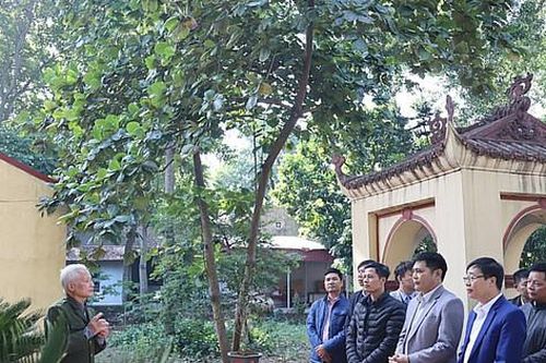 Tết ở xã nông thôn mới kiểu mẫu Đại Áng