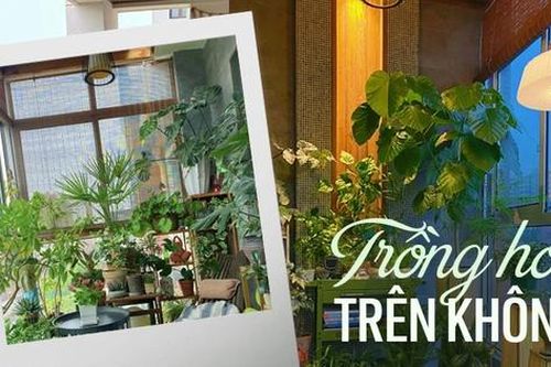 Ban công nhỏ chỉ 3m2 cũng có thể biến thành một 'khu vườn trên không'