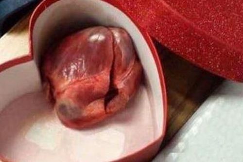 'Chết cười' với những hình ảnh hài hước ngày Valentine 14/2
