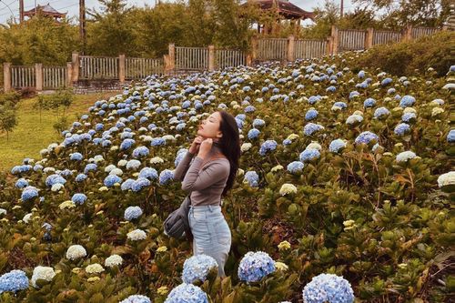 Khách sạn tại Măng Đen quá tải, nhiều du khách cắm lều trú tạm qua đêm