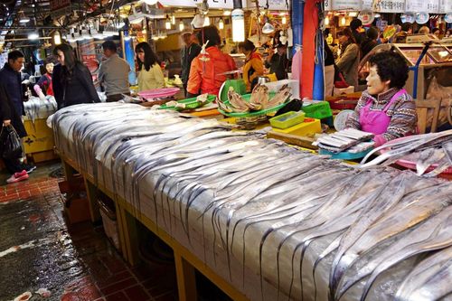 Ngày đầu năm mới ở chợ cá Busan