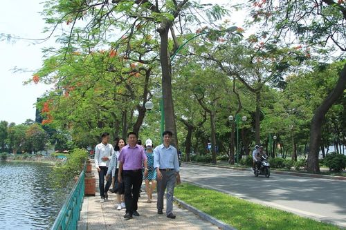 Giai điệu vỉa hè
