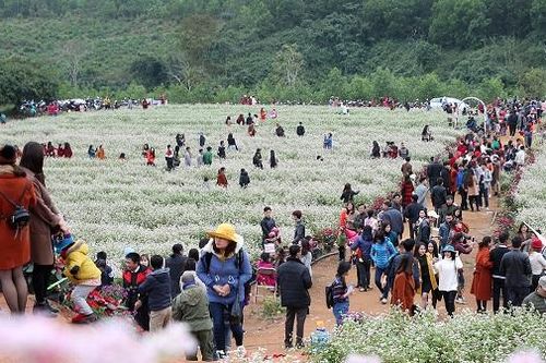 Nghệ An đón 315 nghìn lượt du khách dịp Tết Nguyên đán Giáp Thìn 2024