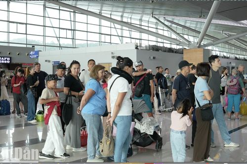 Xem xét xử lý hành chính công ty du lịch vụ bỏ rơi gần 300 khách ở Phú Quốc