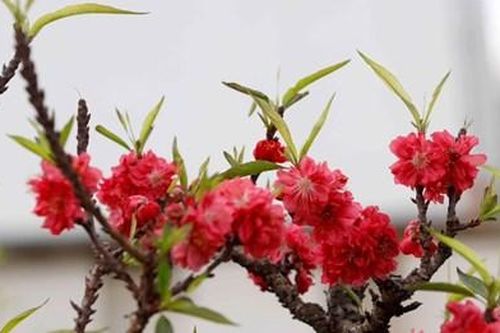 Tạo đột phá, phát triển hưng thịnh