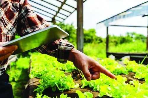 Cải thiện cuộc sống từ môi trường bền vững