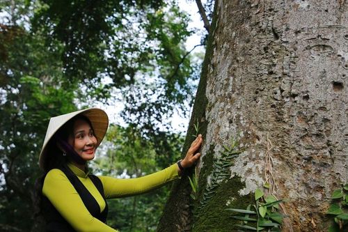 Đầu xuân khám phá di sản rừng thiêng Lam Kinh