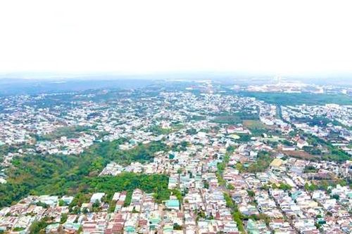 Đề xuất đốn hạ 38 cây xanh sau vụ đổ đè chết người ở Đắk Lắk