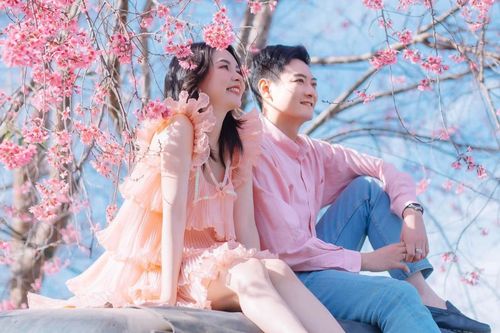 Mai anh đào đang nở đẹp nhất ở khu vực nào của Đà Lạt?