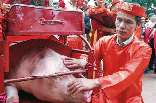 Hàng trăm người rước 'ông ỉn' tại Lễ hội làng Ném Thượng