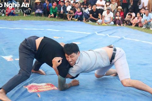 Kịch tính các sới vật đầu Xuân ở Nghệ An