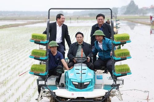 Thủ tướng xuống đồng động viên nông dân Hải Dương sản xuất vụ Đông Xuân