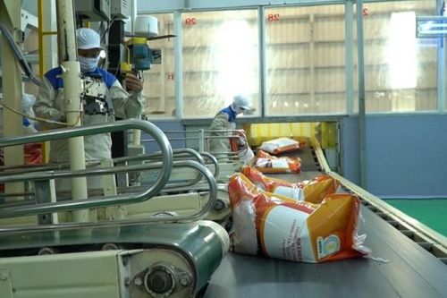 Doanh nghiệp các tỉnh phía Nam đồng loạt ra quân sản xuất đầu năm