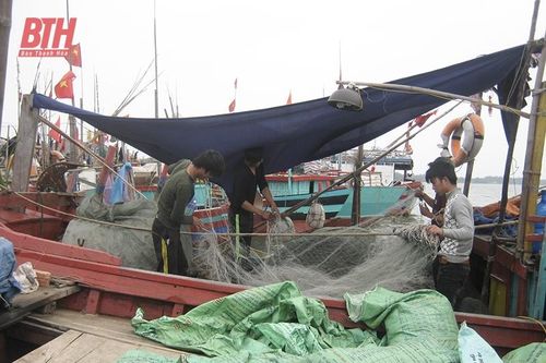 Ngư dân đón lộc đầu xuân