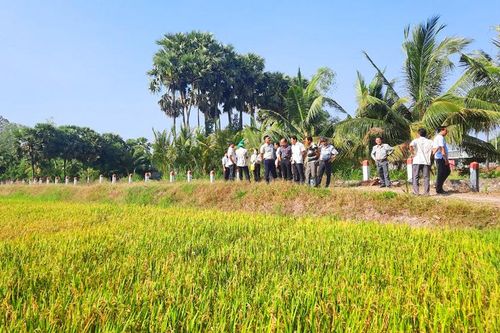Chủ tịch UBND TX. Tịnh Biên kiểm tra tình hình sản xuất dịp Tết Nguyên Đán 2024