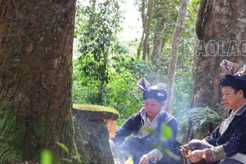 Nét đẹp cúng rừng đầu năm