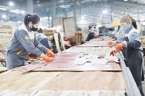 Tích cực sản xuất đầu Xuân mới