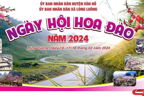 Ngày hội hoa đào xã Lóng Luông năm 2024 sẽ diễn ra từ ngày 16 – 18/2
